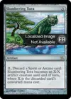 Product image for Tora endormi