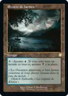 Product image for Rivière de larmes