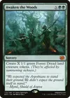 Product image for Awaken the Woods