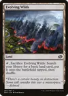 Product image for Evolving Wilds