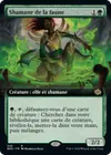 Product image for Shamane de la faune