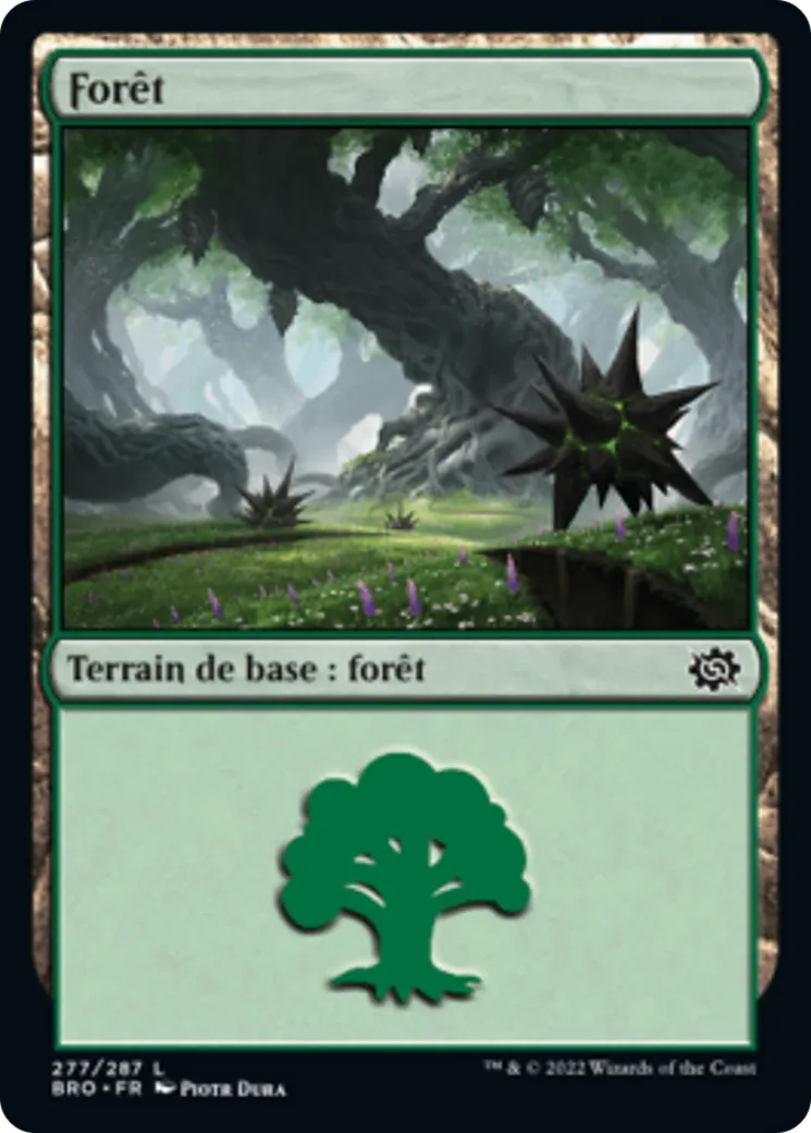 Forêt — The Brothers' War — Magic: The Gathering