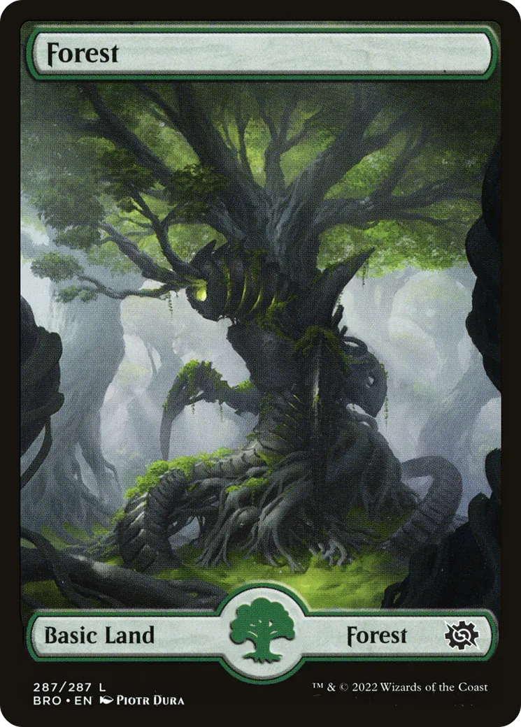 Forest — The Brothers' War — Magic: The Gathering
