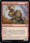 Product image for Lithochercheur cornu