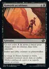 Product image for Remords accablants