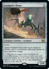 Product image for Araignée thran