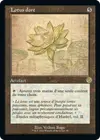 Product image for Lotus doré