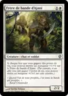Product image for Frère de bande d'Ajani