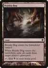 Product image for Bojuka Bog