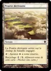 Product image for Prairie dérivante