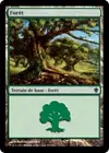 Product image for Forêt