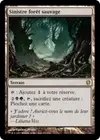Product image for Sinistre forêt sauvage