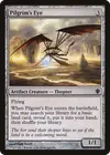 Product image for Pilgrim's Eye