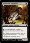 Product image for Druide des bourbiers
