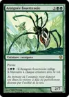 Product image for Araignée fouettesoie