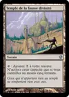Product image for Temple de la fausse divinité