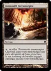 Product image for Immensité terramorphe