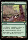 Product image for Halliers tranquilles