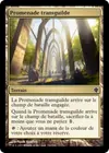 Product image for Promenade transguilde