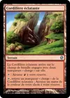 Product image for Cordillère éclatante