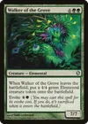 Product image for Walker of the Grove