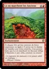 Product image for Là où marchent les Anciens
