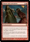 Product image for Chasse aux sorcières