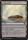 Product image for Lande stérile