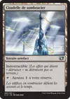 Product image for Citadelle de sombracier