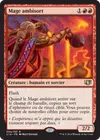 Product image for Mage ambisort