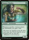 Product image for Essence Warden