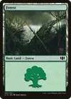 Product image for Forest