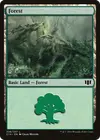 Product image for Forest