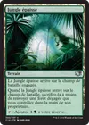 Product image for Jungle épaisse