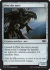 Product image for Père des myrs