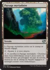 Product image for Paysage myriadaire