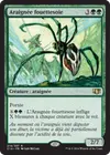 Product image for Araignée fouettesoie