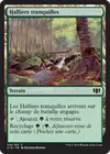 Product image for Halliers tranquilles