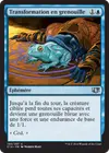 Product image for Transformation en grenouille