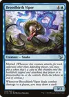 Product image for Broodbirth Viper