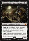 Product image for Champion des âmes égarées