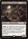 Product image for Champion of Stray Souls