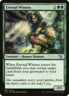 Product image for Eternal Witness