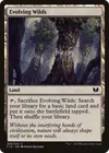 Product image for Evolving Wilds