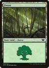 Product image for Forest