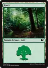 Product image for Forêt