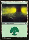 Product image for Forest