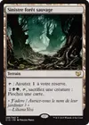 Product image for Sinistre forêt sauvage