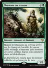 Product image for Shamane au terreau