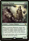 Product image for Loaming Shaman